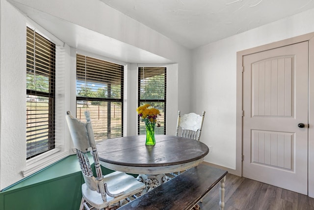 dining space with hardwood / wood-style flooring