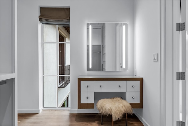 walk in closet featuring wood-type flooring