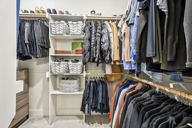 walk in closet featuring carpet flooring