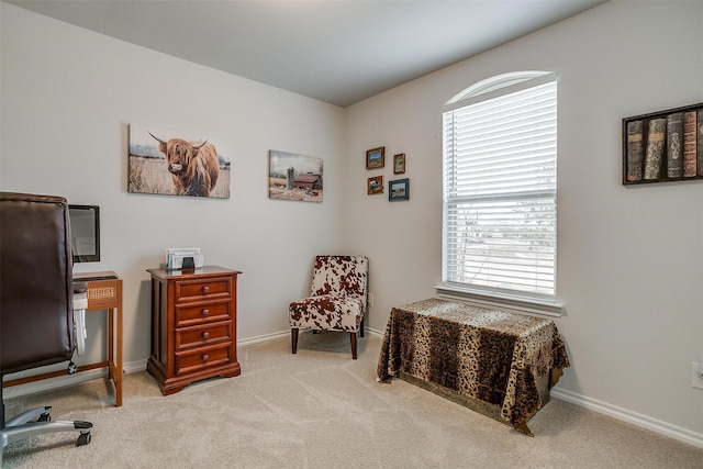 view of carpeted office space