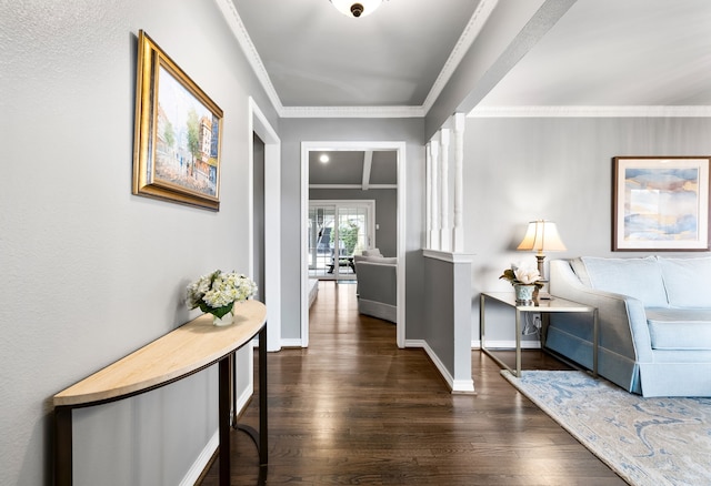 hallway with ornamental molding and dark hardwood / wood-style floors