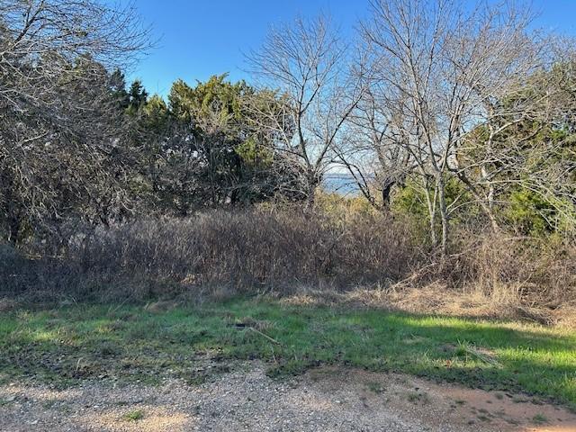 Listing photo 3 for 1272 Paint Brush Ct, Whitney TX 76692