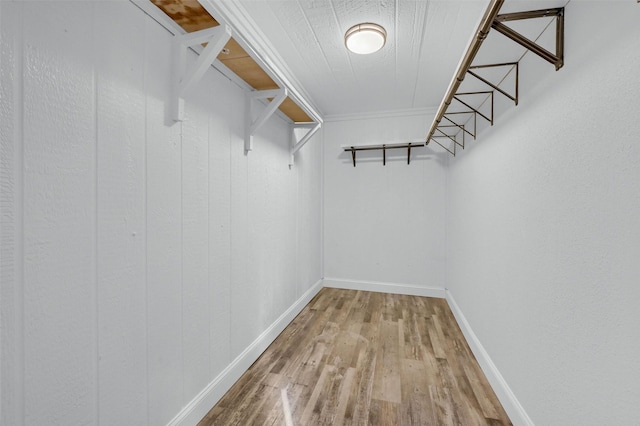 spacious closet with hardwood / wood-style floors