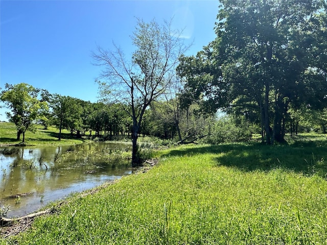 Listing photo 2 for LOT52 Paradise Cv, Streetman TX 75859