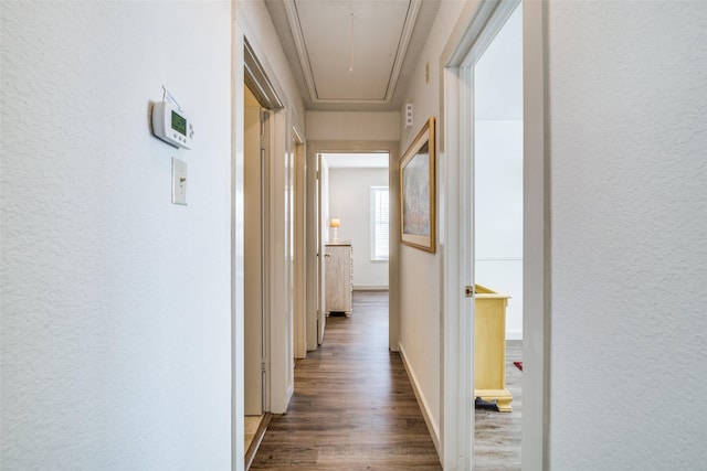 hallway with dark wood-type flooring