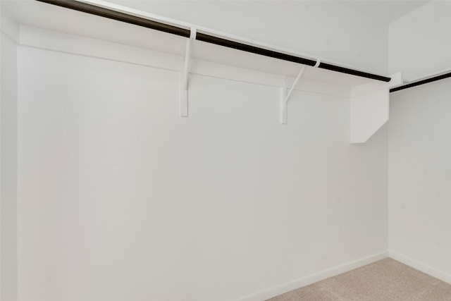 spacious closet featuring carpet floors