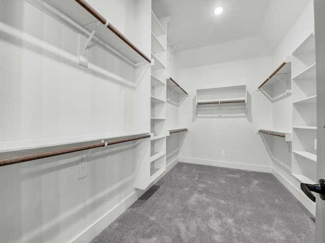 walk in closet featuring carpet