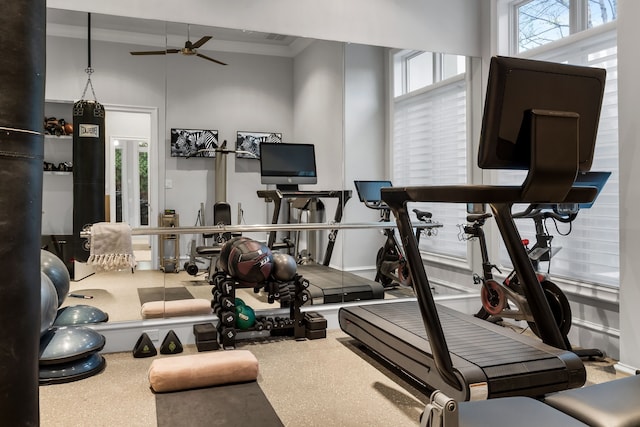 workout room with ceiling fan, ornamental molding, and a healthy amount of sunlight