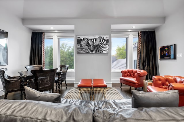 living room featuring plenty of natural light and dark hardwood / wood-style flooring