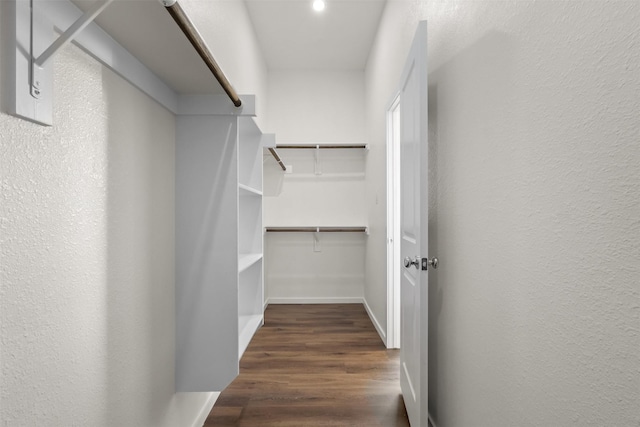 spacious closet with dark wood-type flooring