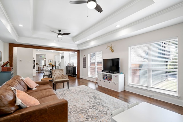 living room with ceiling fan, dark hardwood / wood-style flooring, ornamental molding, and a tray ceiling