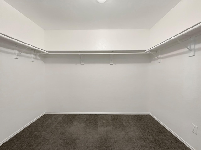 walk in closet with carpet flooring