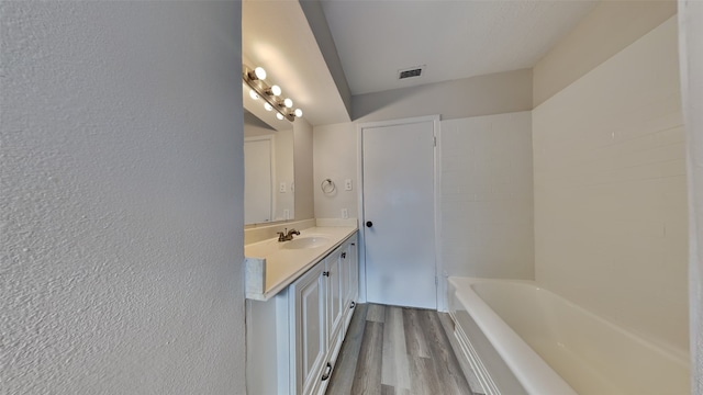 bathroom with wood-type flooring and vanity