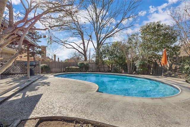 view of pool featuring a patio area