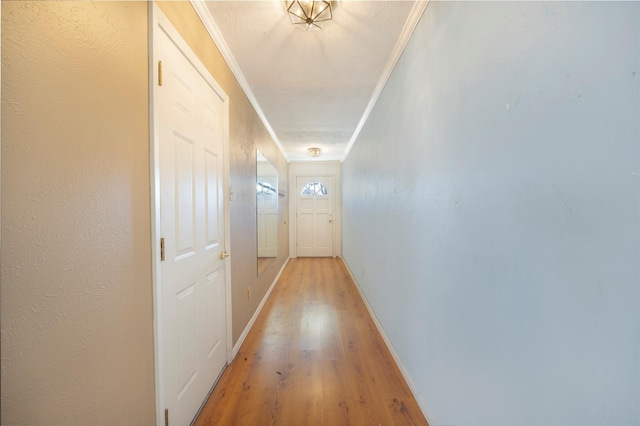 corridor featuring light hardwood / wood-style floors and crown molding