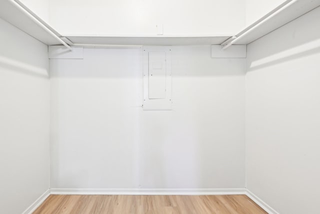 spacious closet featuring hardwood / wood-style flooring and electric panel