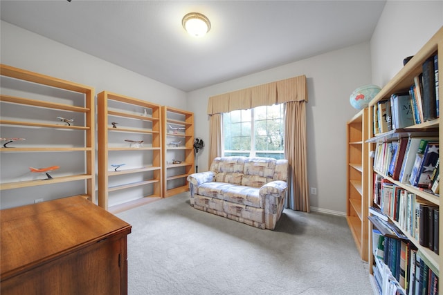 sitting room featuring carpet floors