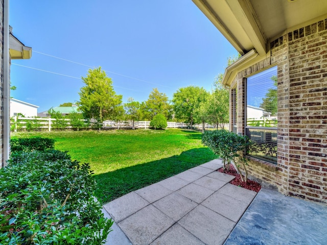 view of yard featuring a patio area