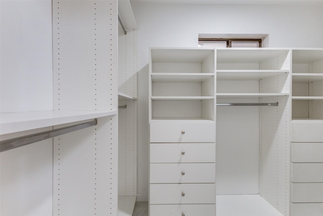 view of spacious closet