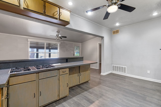 kitchen with stainless steel gas cooktop, crown molding, a textured ceiling, and light hardwood / wood-style floors