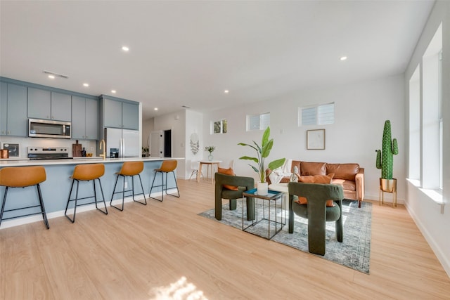 living room featuring sink and light hardwood / wood-style flooring