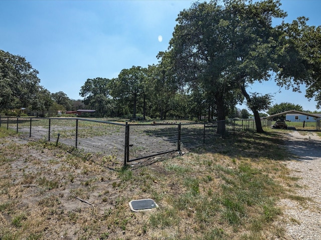 view of yard featuring a rural view