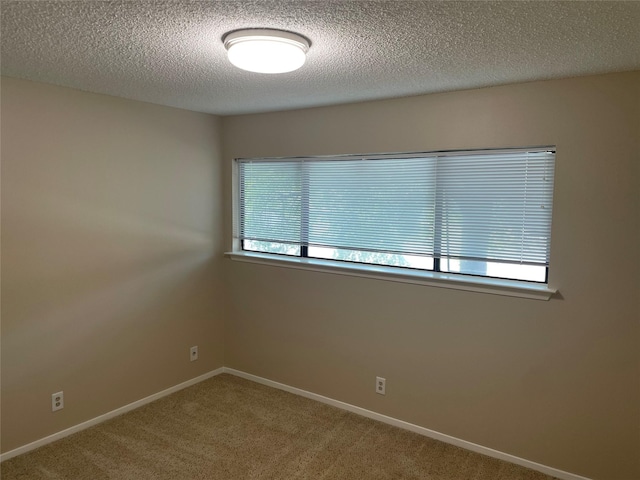 spare room featuring a textured ceiling and carpet