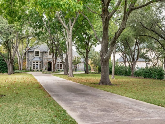 view of home's community with a yard