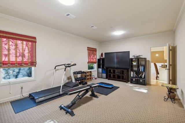 workout room with a wealth of natural light, crown molding, and carpet flooring