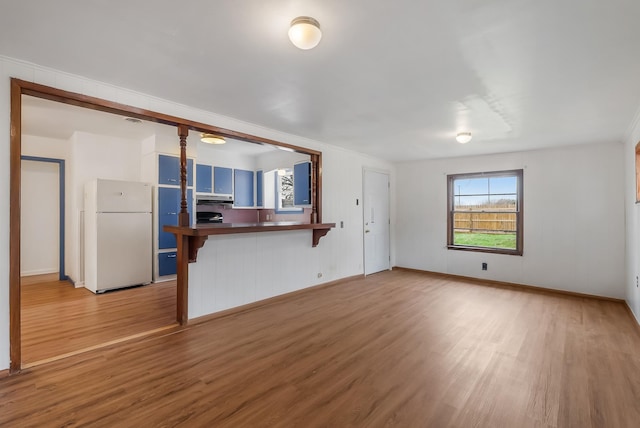 unfurnished living room featuring light wood-type flooring