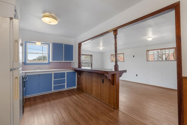 kitchen featuring blue cabinets, sink, white fridge, and dark hardwood / wood-style floors