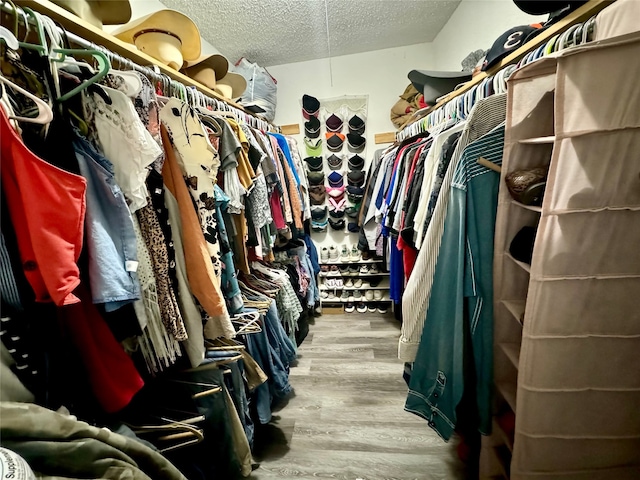 spacious closet with hardwood / wood-style floors