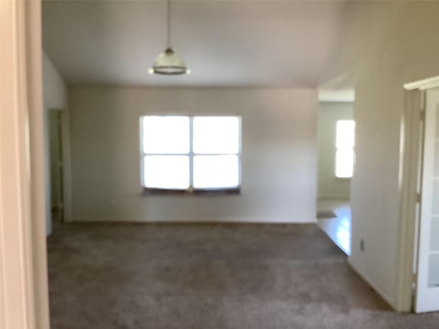 unfurnished room featuring carpet floors