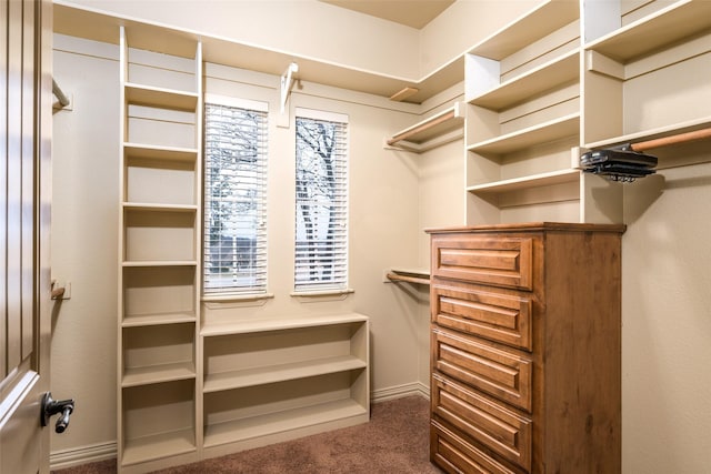 walk in closet featuring dark carpet