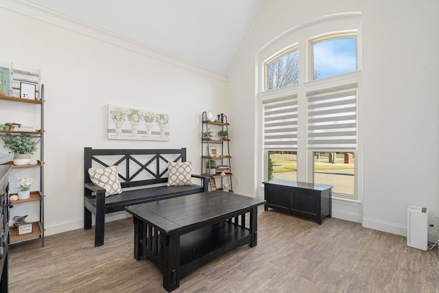 living area featuring hardwood / wood-style flooring and vaulted ceiling