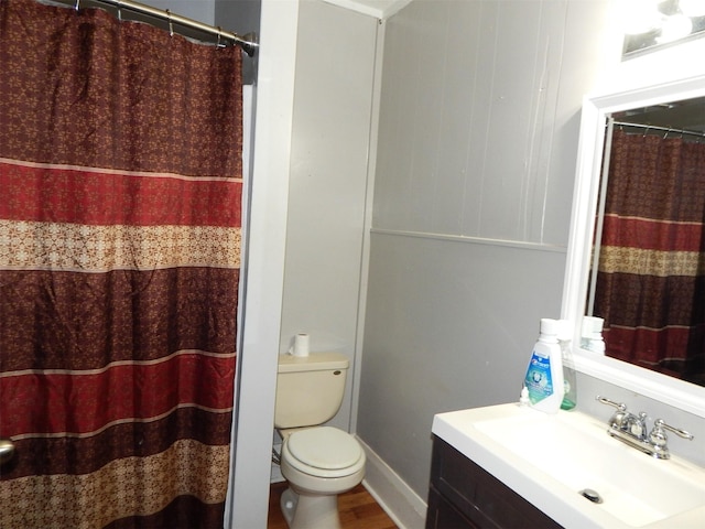 bathroom featuring toilet, vanity, and wood-type flooring