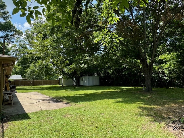 view of yard with a shed and a patio