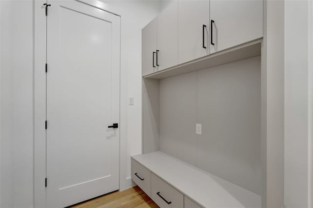 mudroom featuring light wood-type flooring