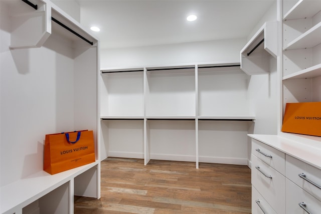 walk in closet with light wood-type flooring