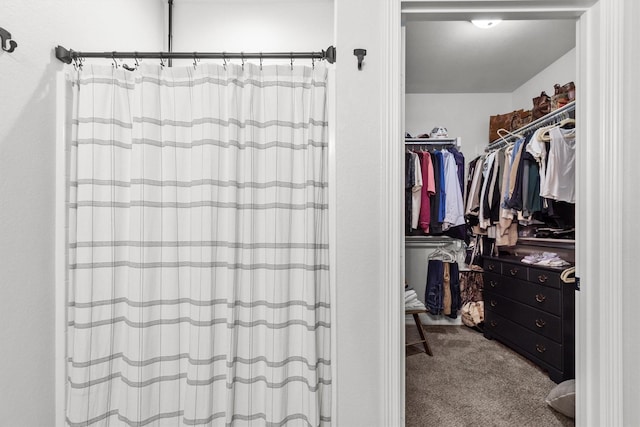 walk in closet with carpet