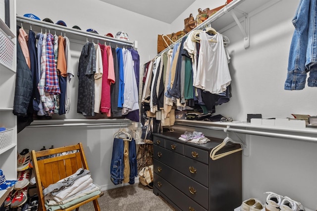 walk in closet featuring carpet flooring