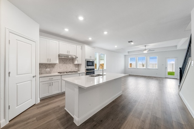 kitchen with sink, white cabinetry, a center island with sink, a tray ceiling, and stainless steel appliances