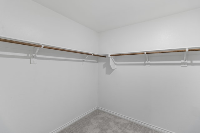 spacious closet with light carpet