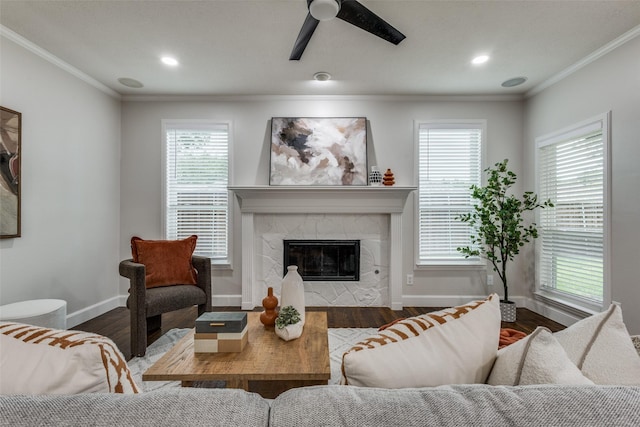 7800 Glenoaks Dr, Frisco, TX 75034 - living room with a premium fireplace, a healthy amount of sunlight, and wood-type flooring
