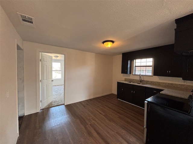 kitchen featuring sink, a textured ceiling, dark hardwood / wood-style floors, and range with electric stovetop