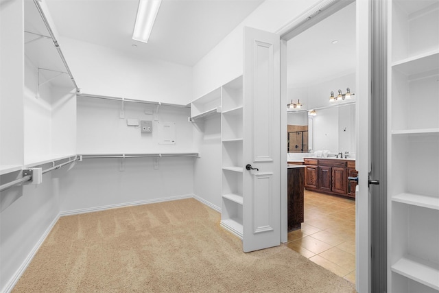 walk in closet with light colored carpet