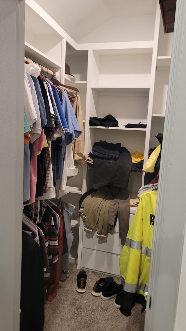 spacious closet featuring carpet floors