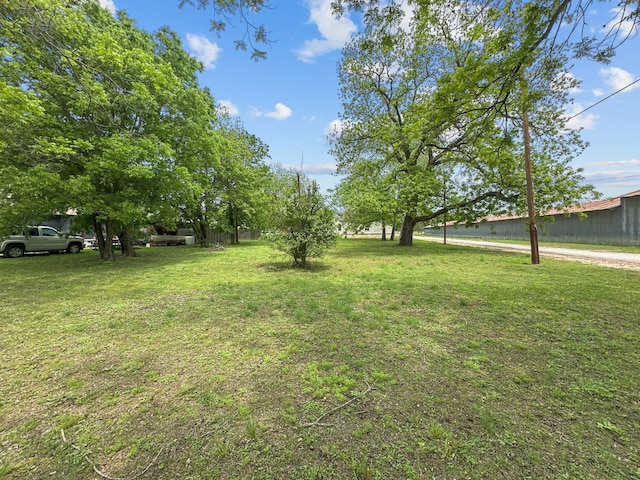 view of yard
