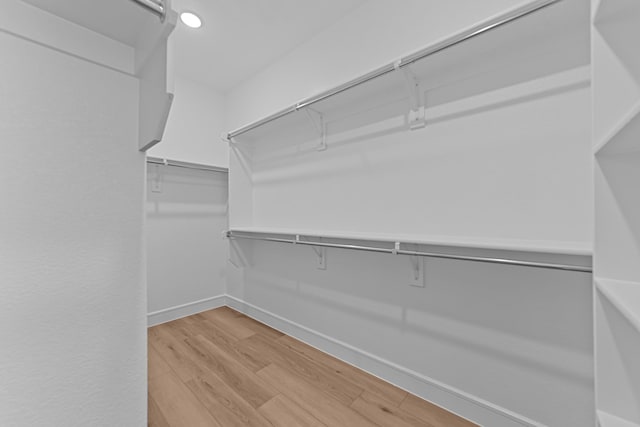 spacious closet featuring light wood-style flooring