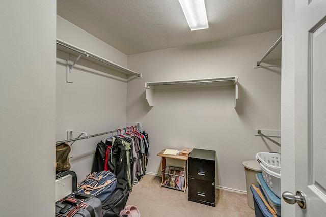 spacious closet with light carpet